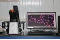 equipment image