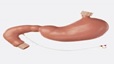 equipment image
