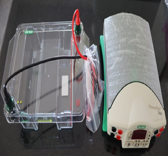 equipment image