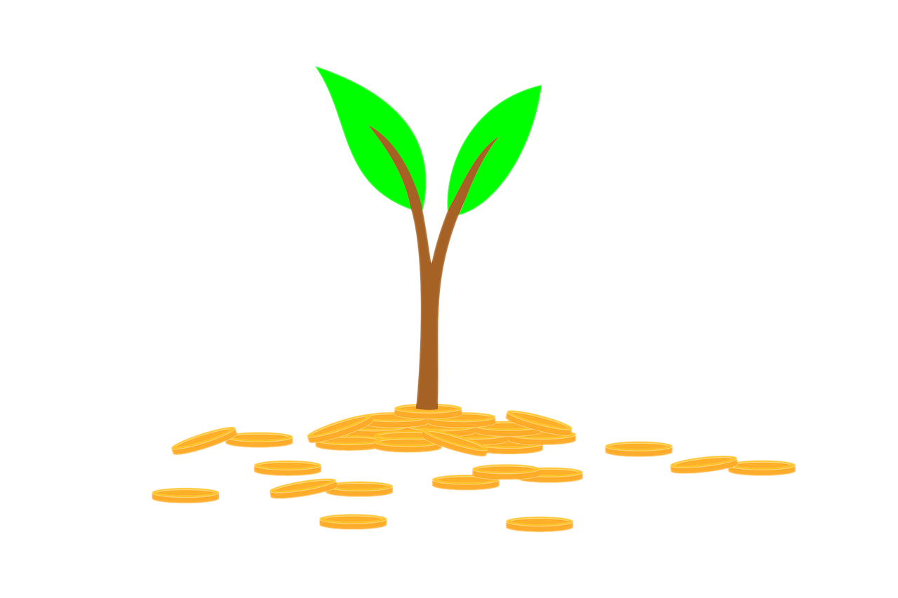 seed fund